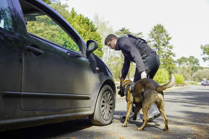 Agps Securite Gardiennage Le Mans Proteger Les Acces